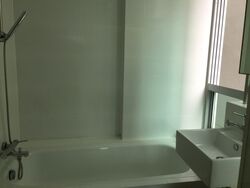The Stellar (D5), Condominium #318134041